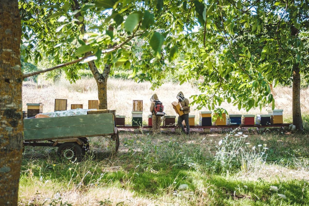 Agriturismo Bellofatto Torella dei Lombardi Esterno foto